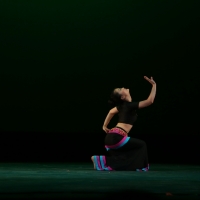 Golden Autumn Gala: Dance-Peacock Flying Over