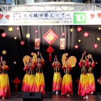 2017 Chinese New Year Celebration at WEM