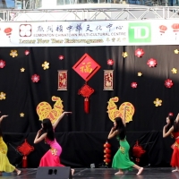 2017 Chinese New Year Celebration at WEM