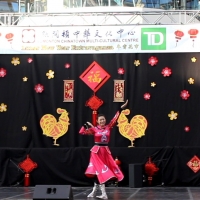 2017 Chinese New Year Celebration at WEM