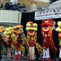 2015 Year of Ram Celebration at WEM