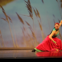 Chinese Cultural Experience Gala: Swan Goose