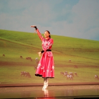 Chinese Cultural Experience Gala: North & South of China