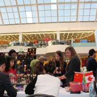 2017 Chinese New Year Celebration at WEM