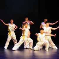 Night of Shaolin Martial Arts