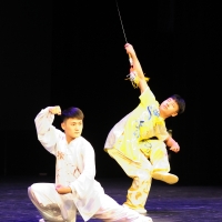 Night of Shaolin Martial Arts