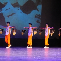 Night of Shaolin Martial Arts