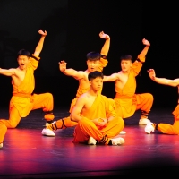 Night of Shaolin Martial Arts