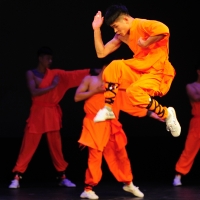 Night of Shaolin Martial Arts