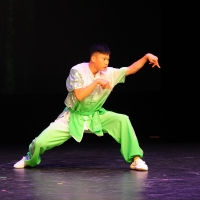 Night of Shaolin Martial Arts