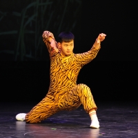 Night of Shaolin Martial Arts