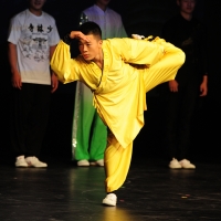 Night of Shaolin Martial Arts