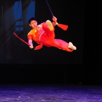 Night of Shaolin Martial Arts