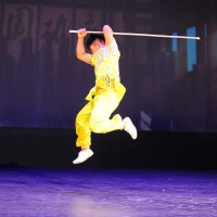 Night of Shaolin Martial Arts