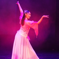 Night of Shaolin Martial Arts