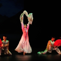 Night of Shaolin Martial Arts