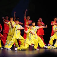 Night of Shaolin Martial Arts