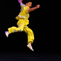 Night of Shaolin Martial Arts