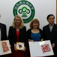 Principals Delegation Trip to China 2015: Jinan