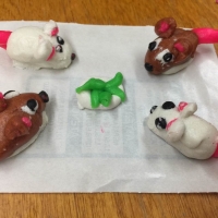 Chinese Dough Art Returns to Landing Trail Intermediate School in Athabasca